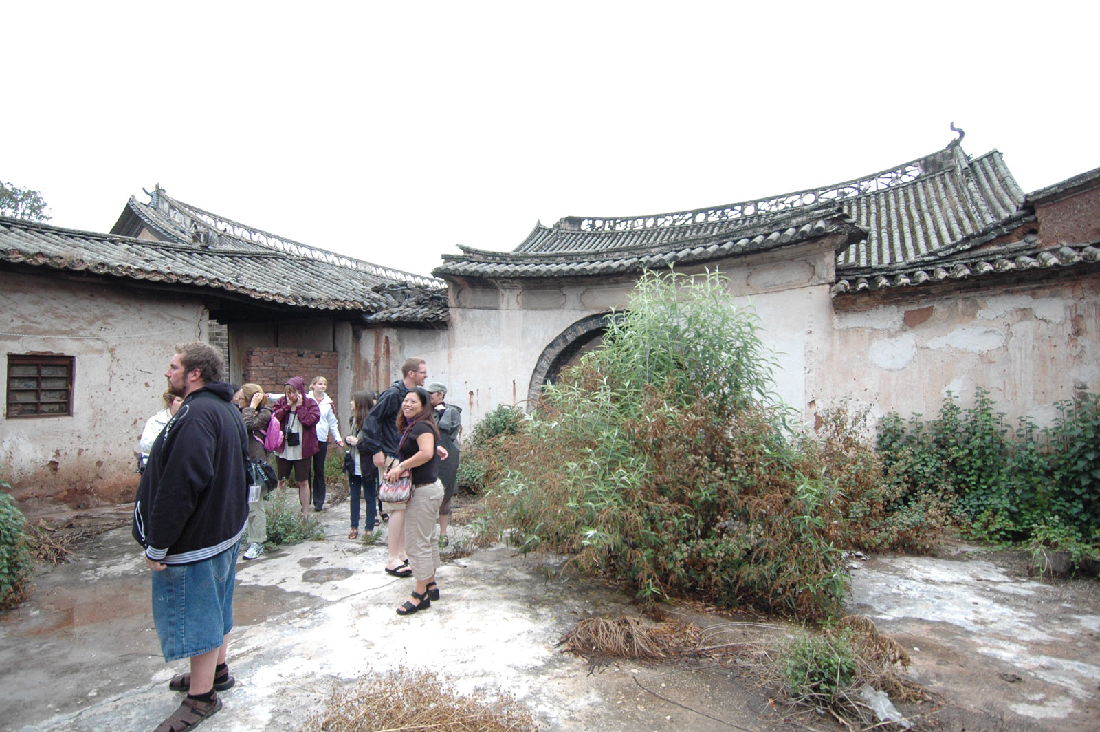 tai bao pal