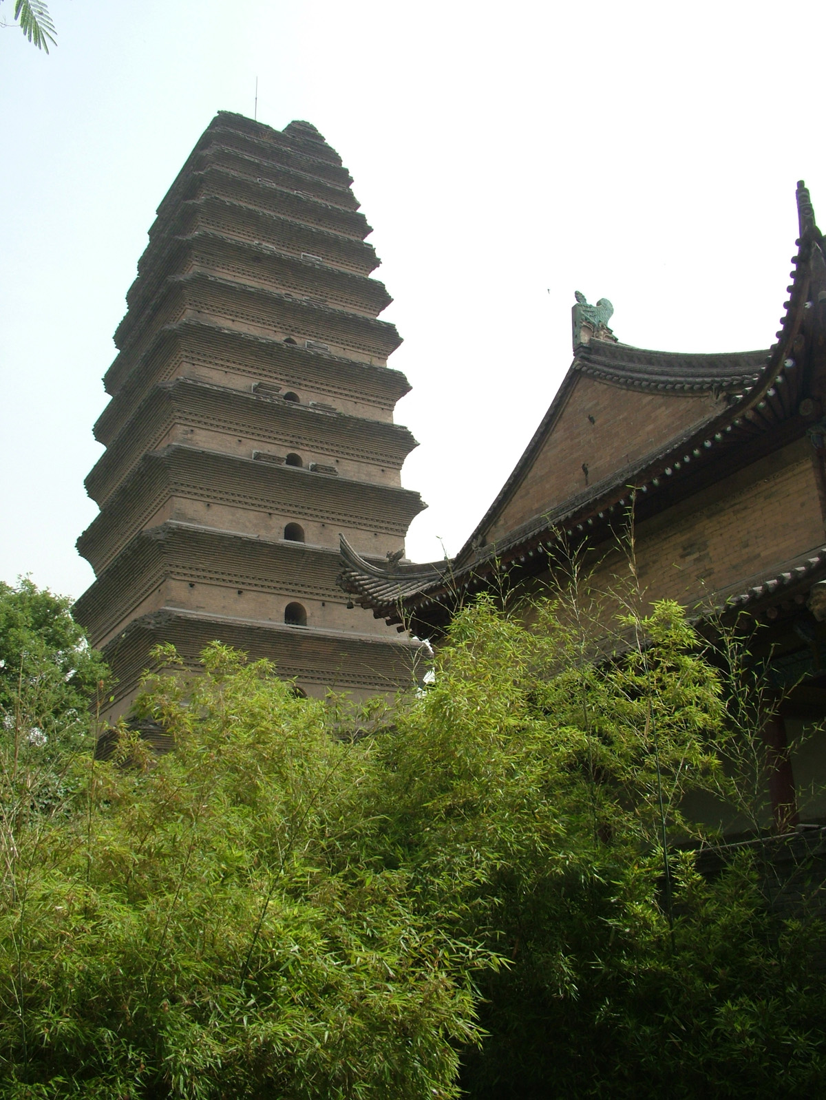 xiaoyan ta78s