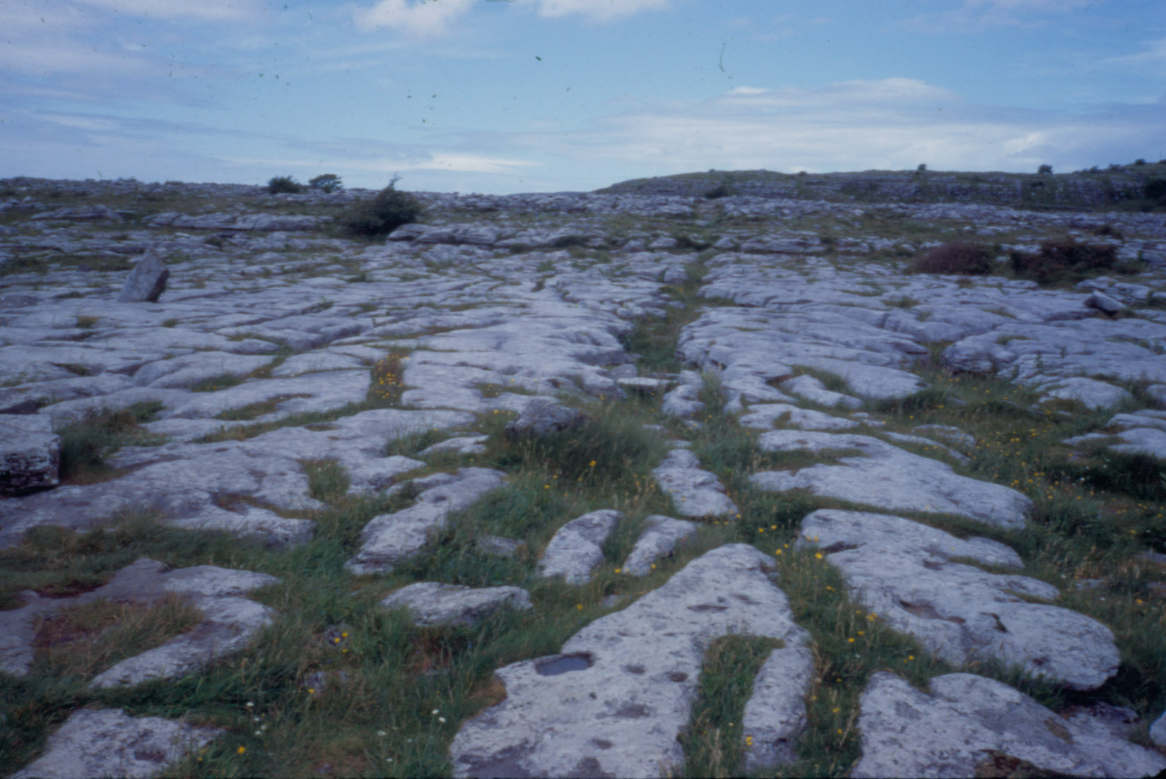 burren pavemts