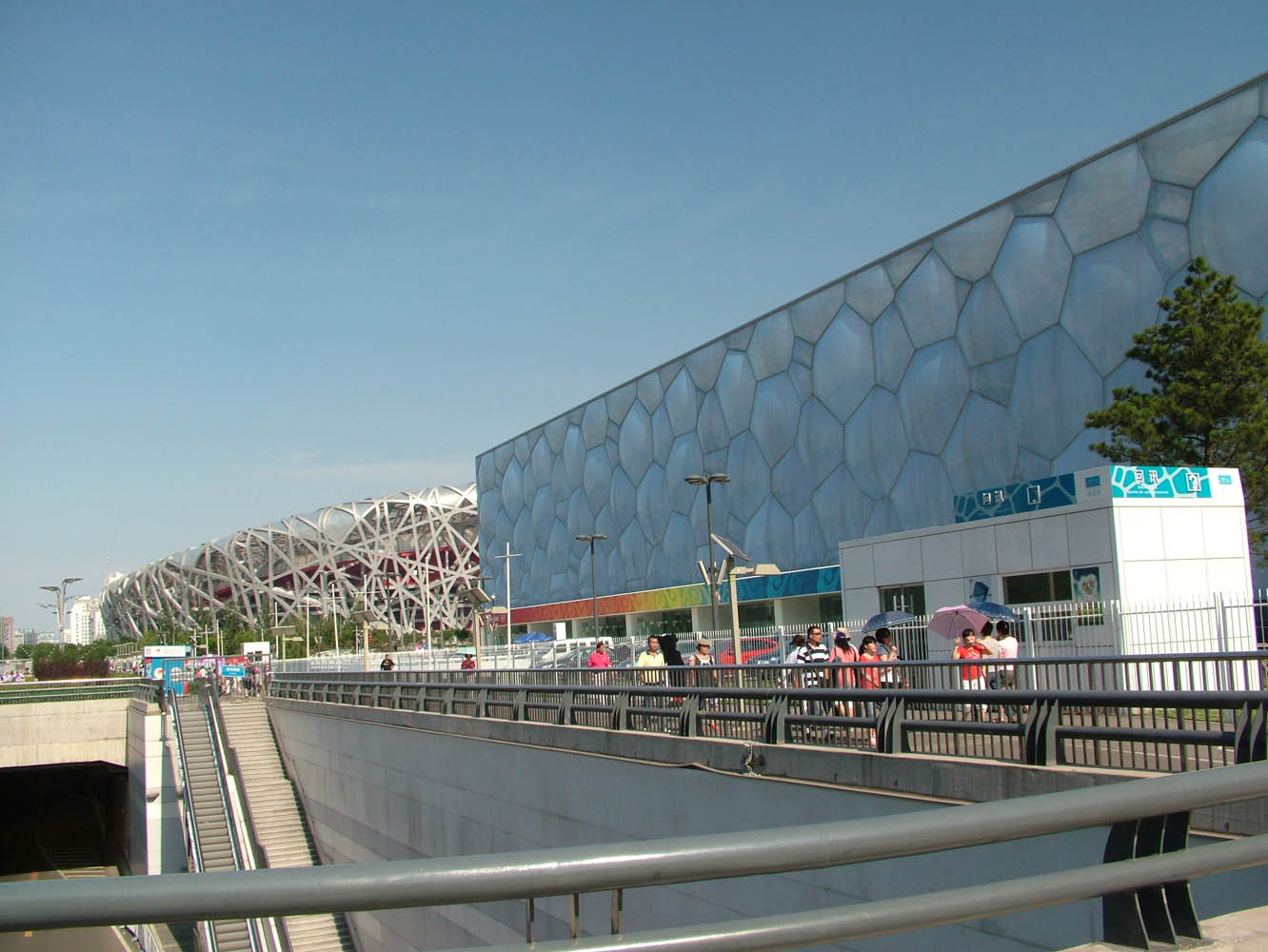 cube, nest
