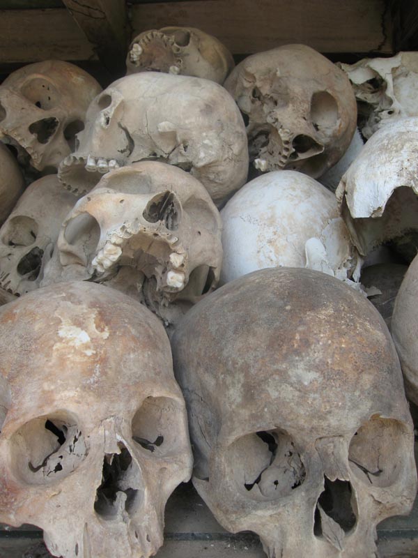 KF skulls clsi