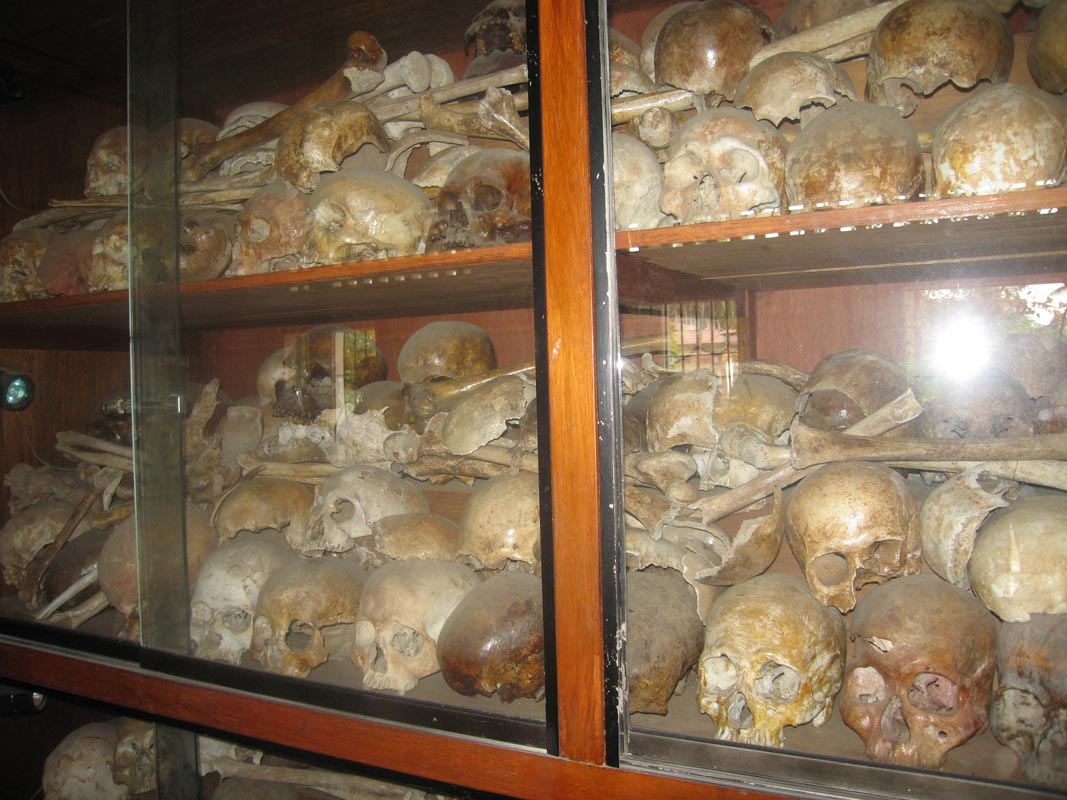 S21 skulls