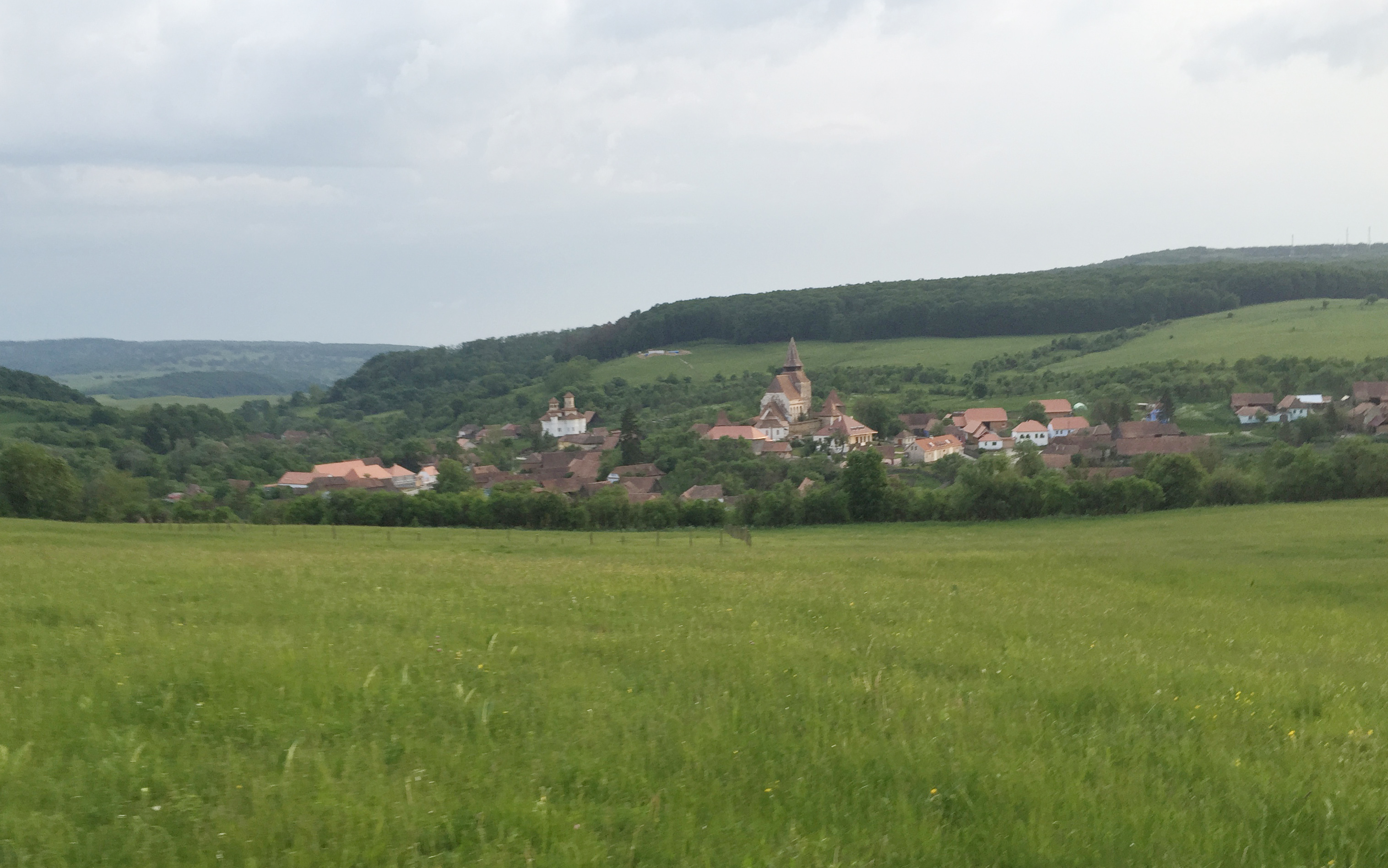 horse ride town view bL